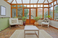 free Palmer Moor conservatory quotes